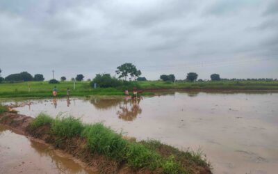 Insights from a Review of Water Security Plans
