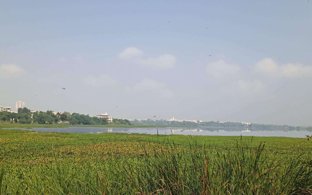 Setting the Context — Water Governance in Bengaluru