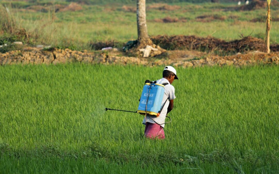 Feeding Humans Has Trapped World in Debt, Degradation: FAO